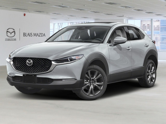 MAZDA CX-30 2025 2025 Gris aéro métallisé