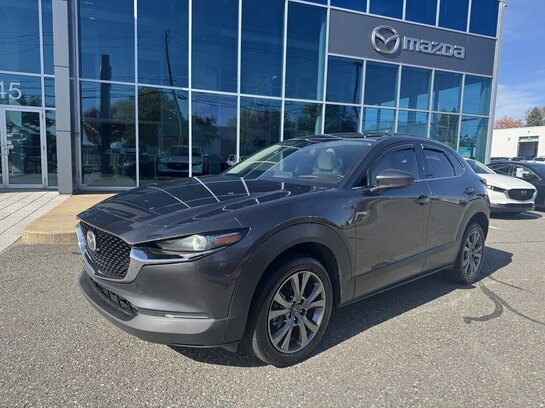 Mazda CX-30 2020 2020 Gris